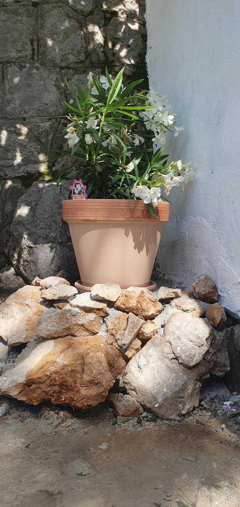 Apartmani Sara Marija Karlobag Zewnętrze zdjęcie
